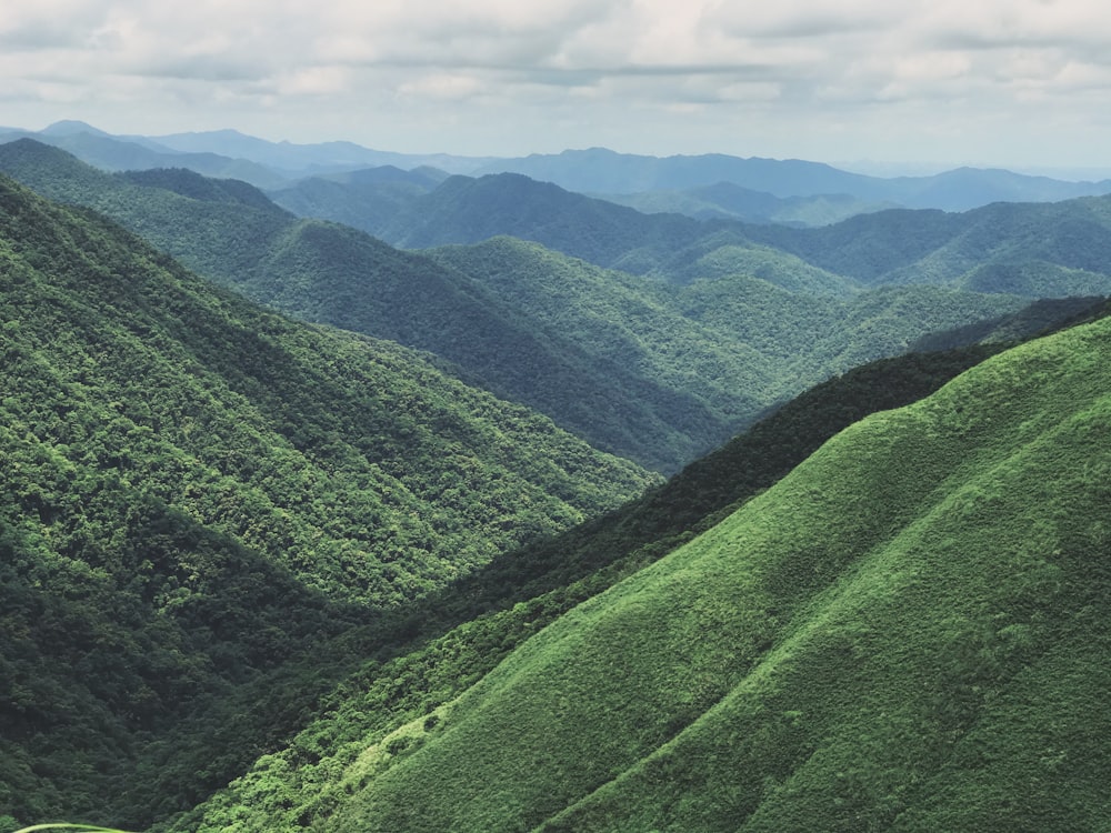 a view of a lush green valley with mountains in the background