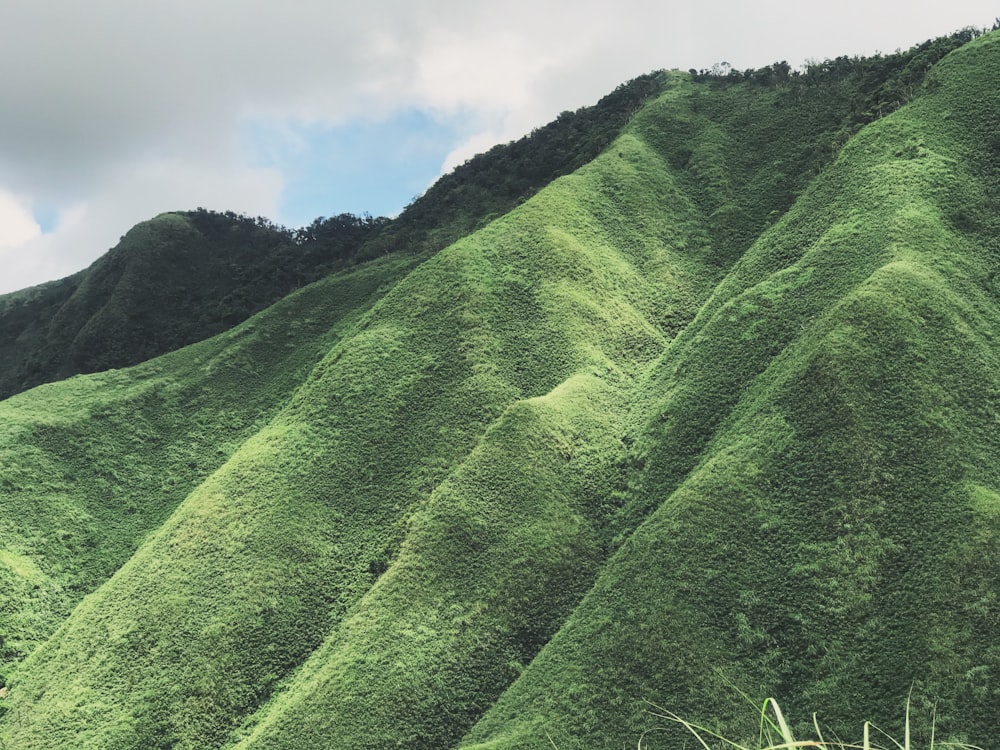 a lush green hillside covered in grass under a cloudy sky