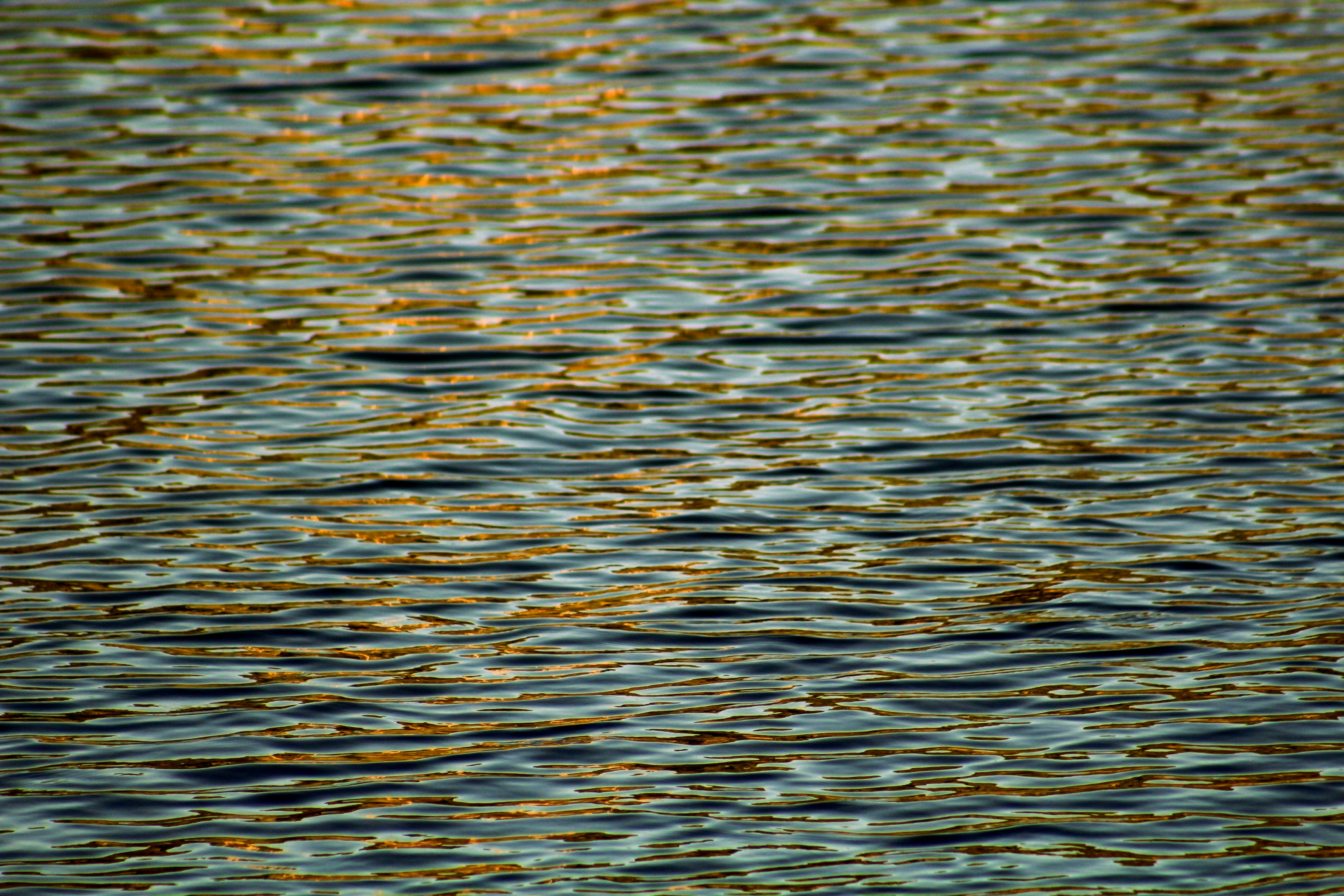 Photo by joshua_hoehne