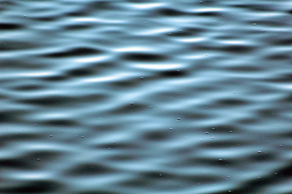 body of water during daytime