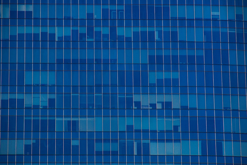 blue and white glass windows