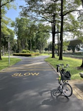 A paved pathway in a park lined with tall, lush green trees. The word 'SLOW' is painted in yellow on the path, and a bicycle with a bag attached to the handlebar is parked on the right side of the pathway. Sunlight filters through the trees, creating dappled shadows on the ground.