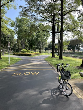 A paved pathway in a park lined with tall, lush green trees. The word 'SLOW' is painted in yellow on the path, and a bicycle with a bag attached to the handlebar is parked on the right side of the pathway. Sunlight filters through the trees, creating dappled shadows on the ground.