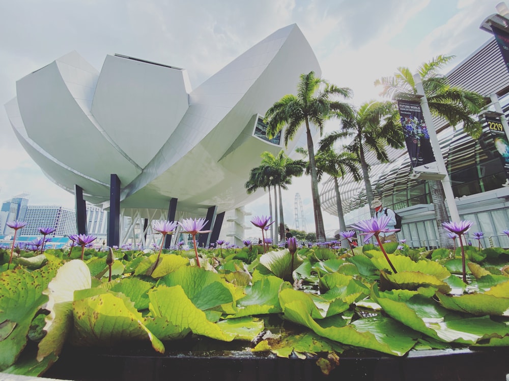 a large white building surrounded by lush green plants