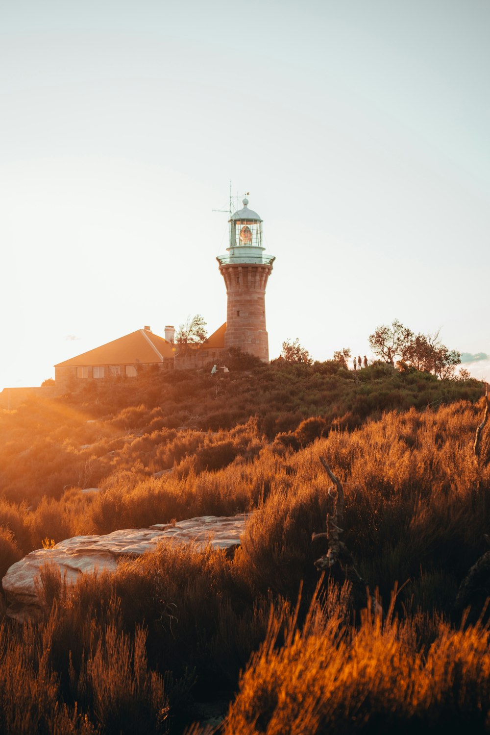 white and brown lighthouse on brown grass field during daytime