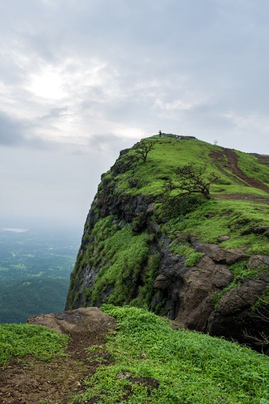 green and gray rock formation under white clouds during daytime in Naneghat India