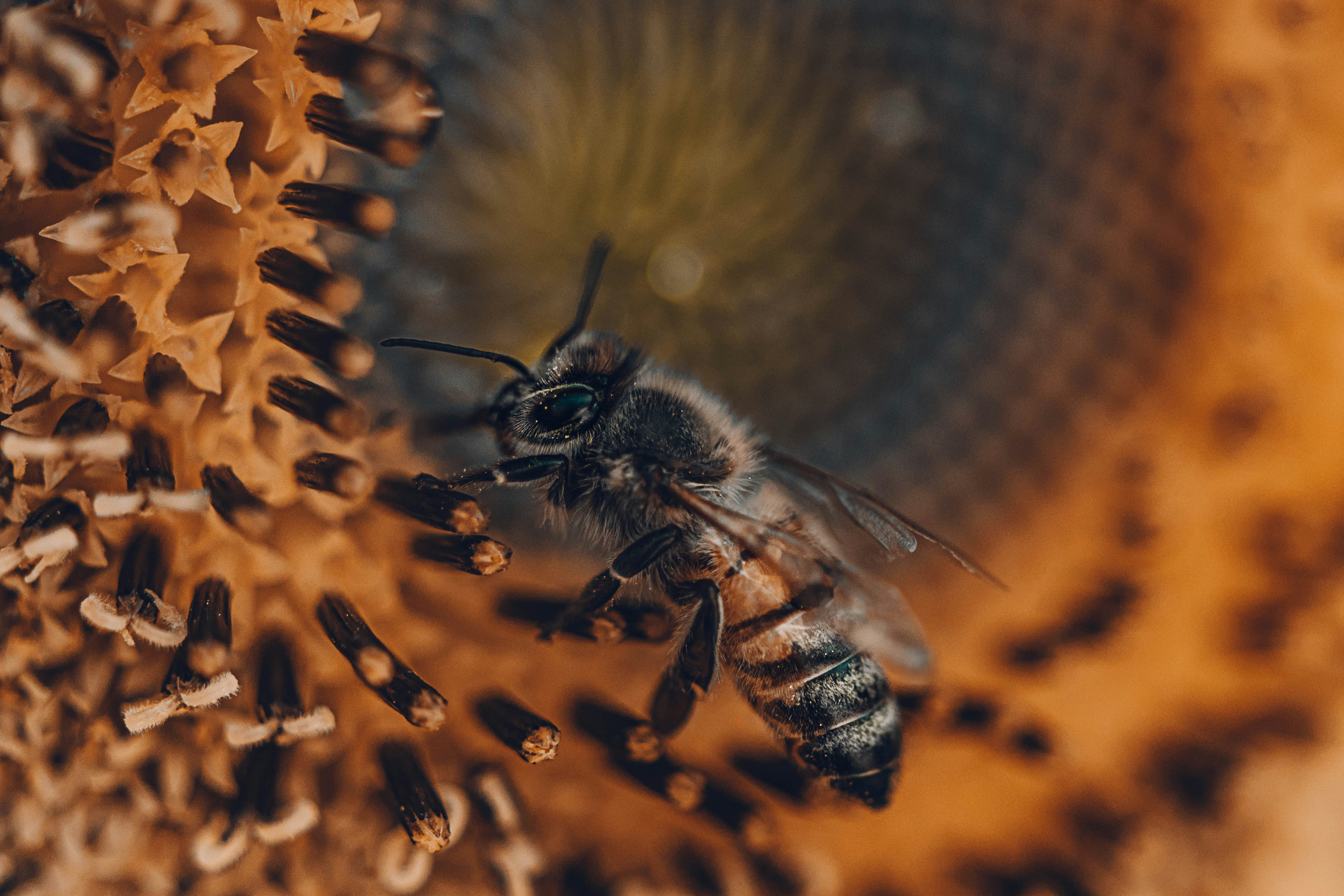 군체 영화 정보 및 크리처물 마니아를 위한 관전 포인트와 촬영 비하인드 이미지2