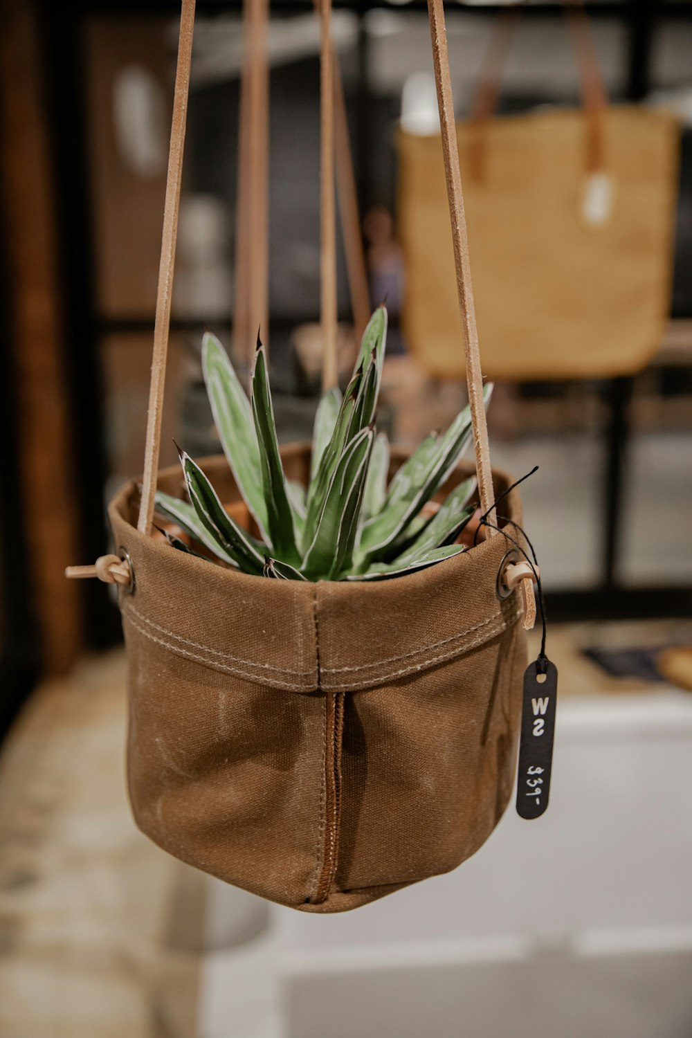 green plant on brown leather bag