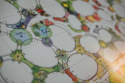 A detailed landscape design map with circular and irregular shapes representing different sections. Various colors represent plants and areas, with labels indicating measurements. The map includes symbols and lines connecting different elements.
