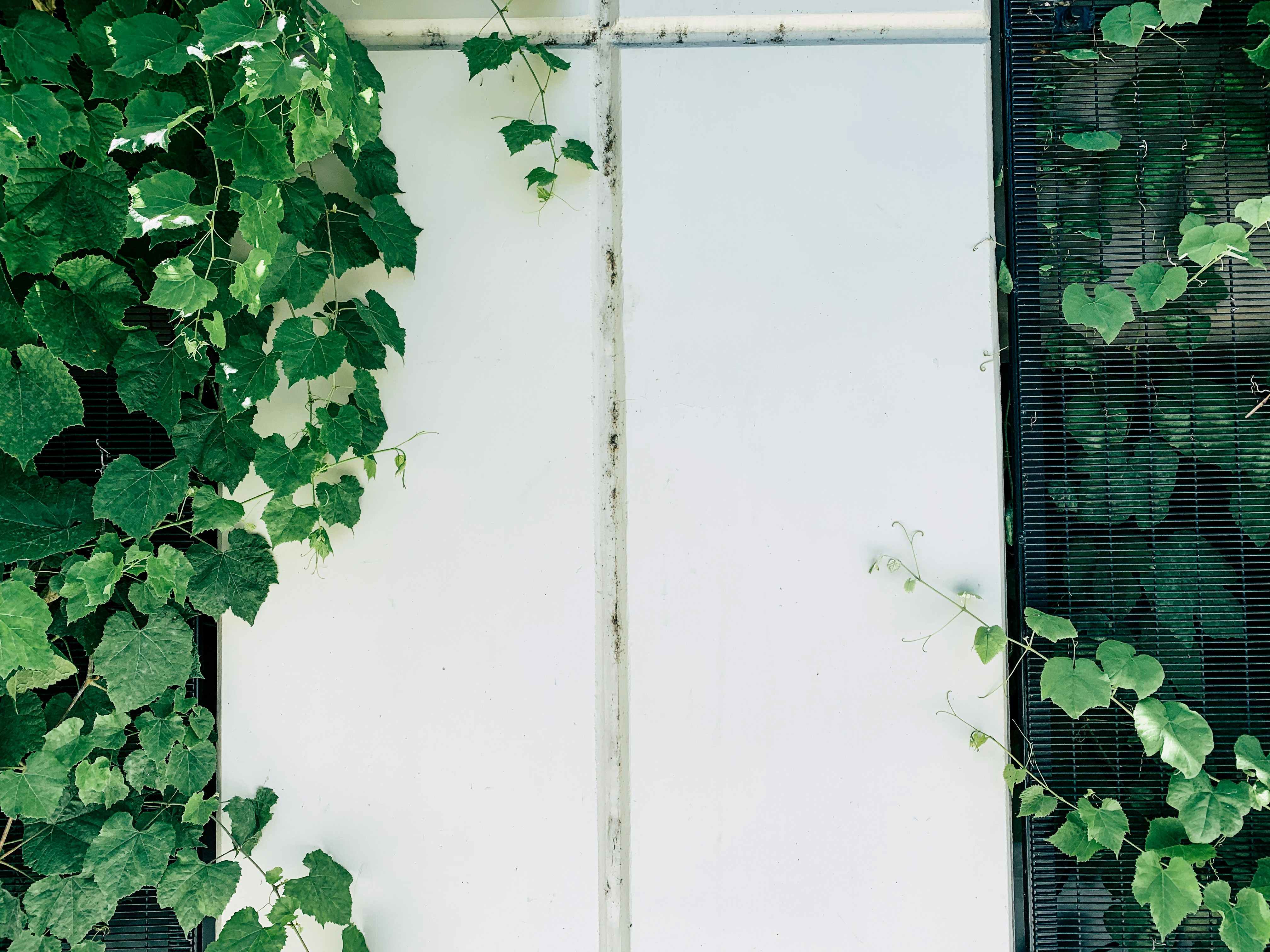 Photo by kolbymilton