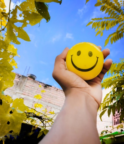 a hand holding a yellow smiley face ball