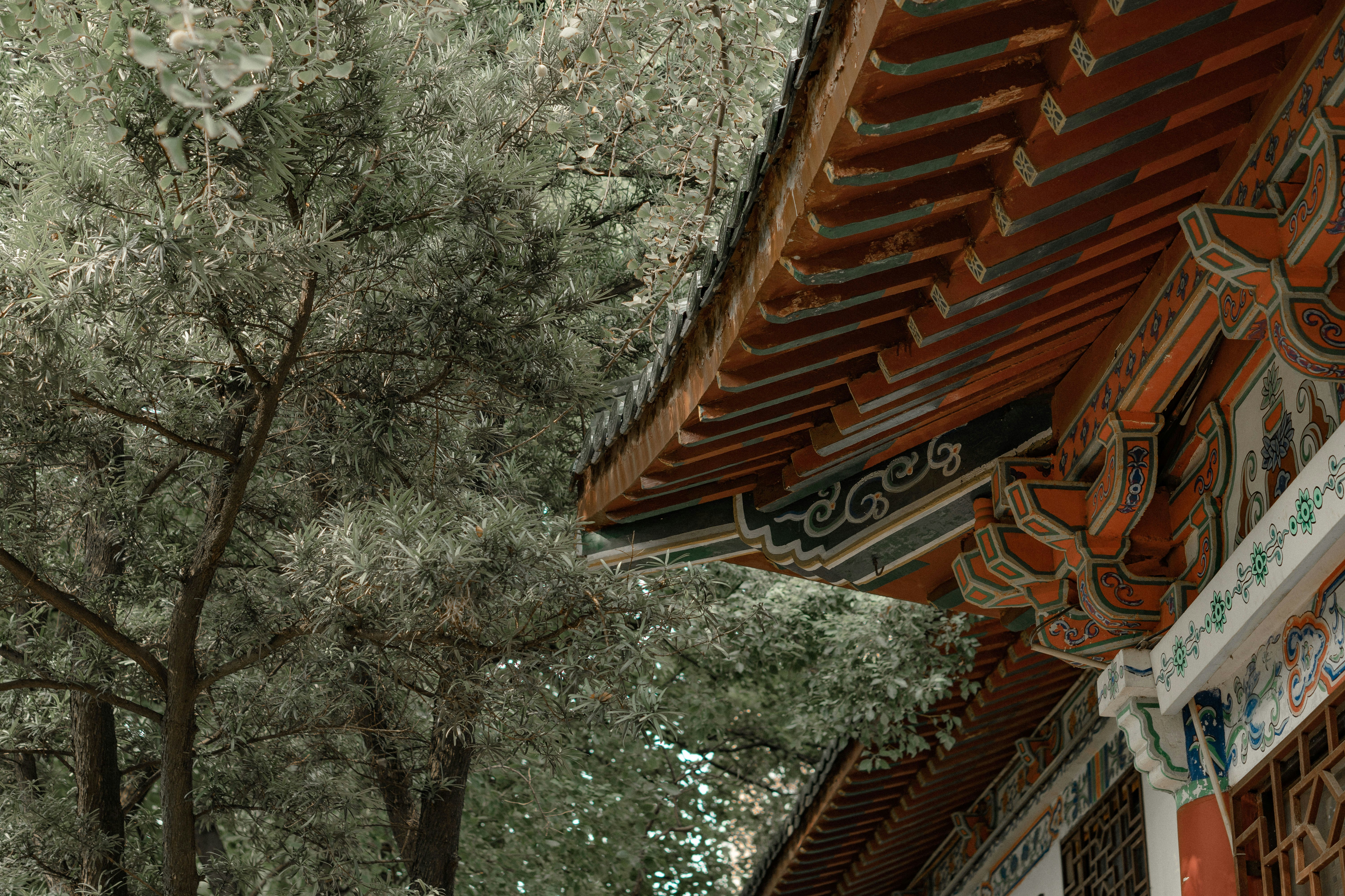 brown wooden roof near green trees during daytime