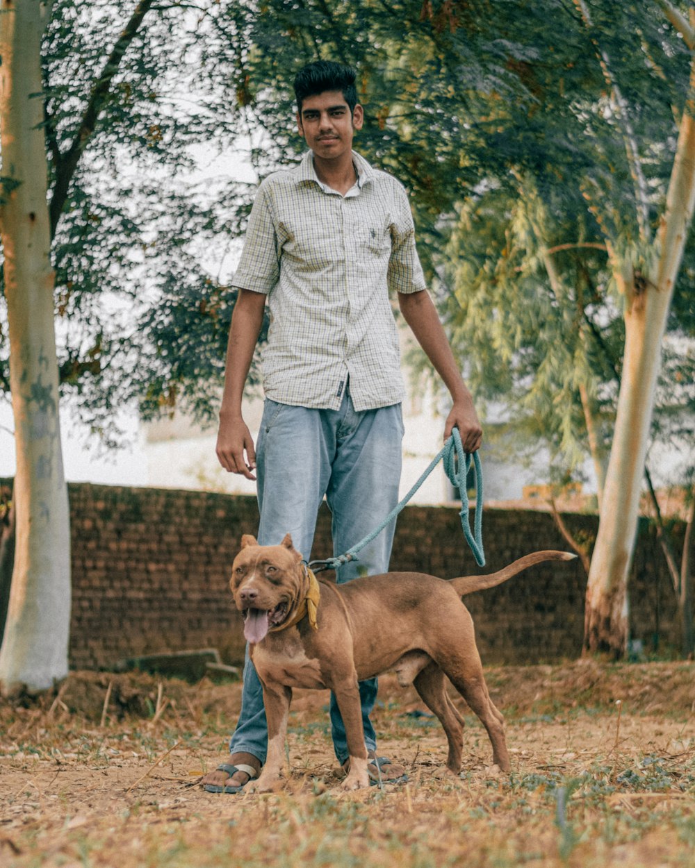 man in white and black checkered button up shirt holding brown short coated dog