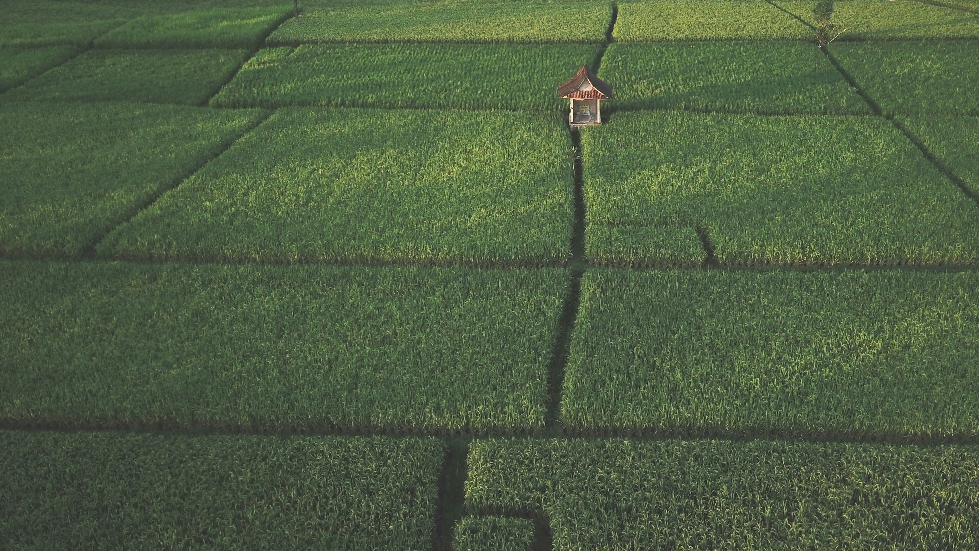 black and red lamp post on green grass field