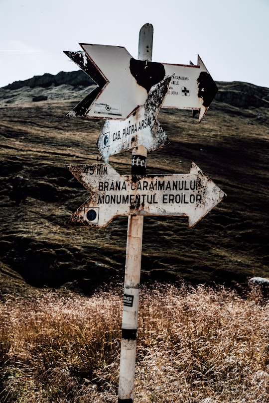 white and black wooden signage in Caraiman Romania