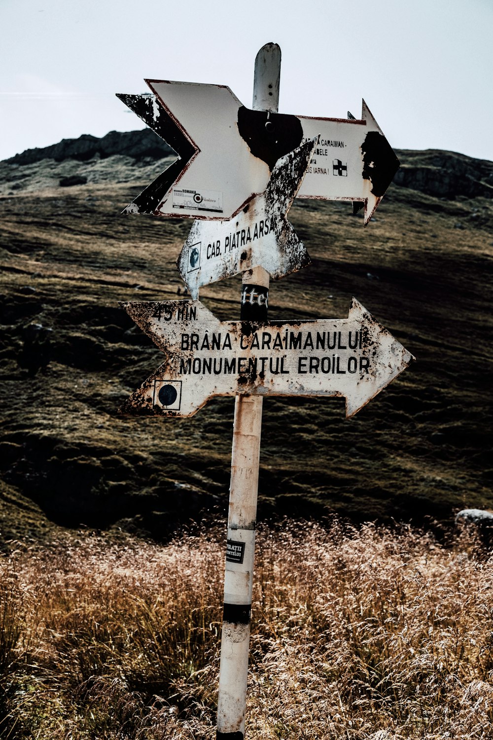 white and black wooden signage