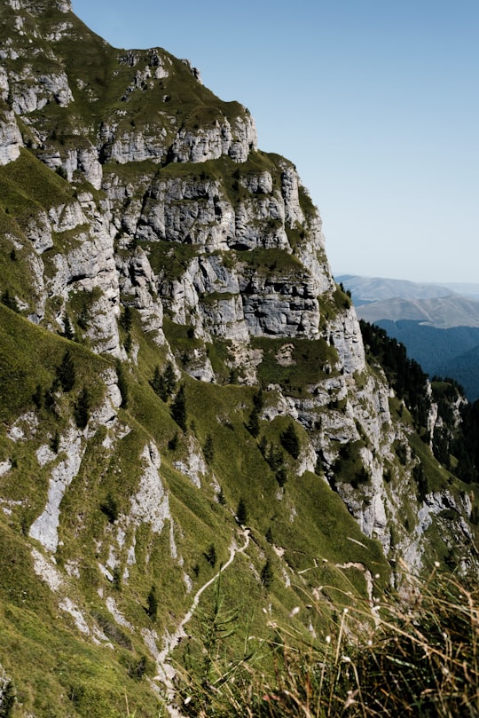 green and gray rock mountain under blue sky during daytime in Bucegi Natural Park Romania