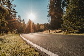 gray concrete road between green trees during daytime