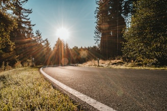 gray concrete road between green trees during daytime