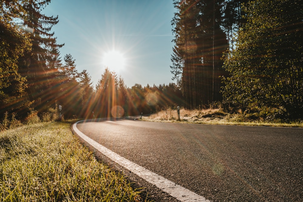 gray concrete road between green trees during daytime