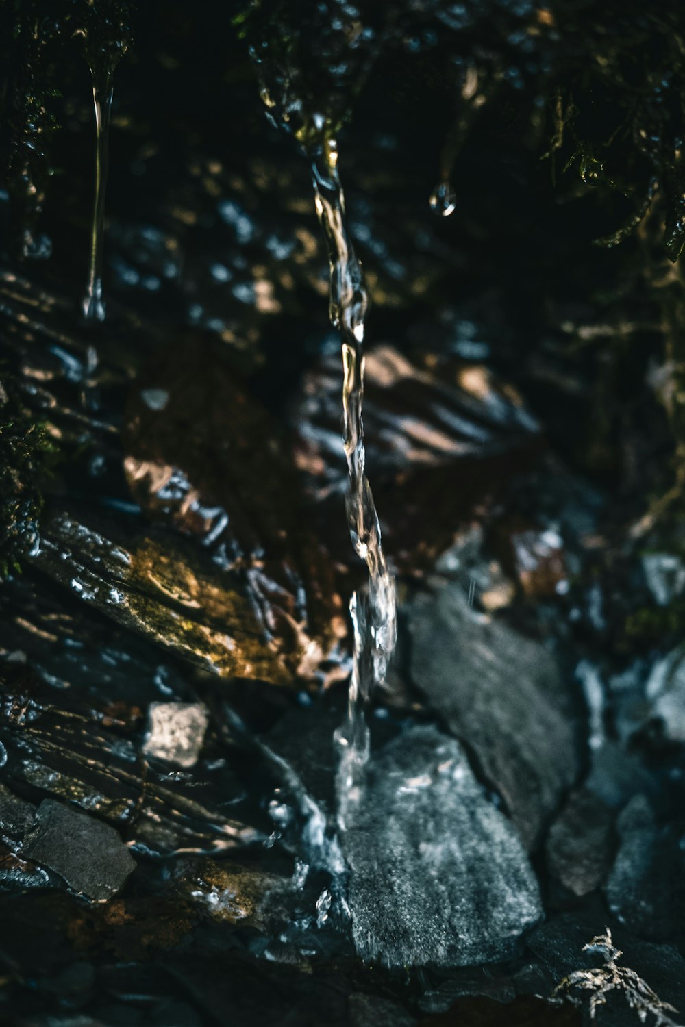 water falling from a tree