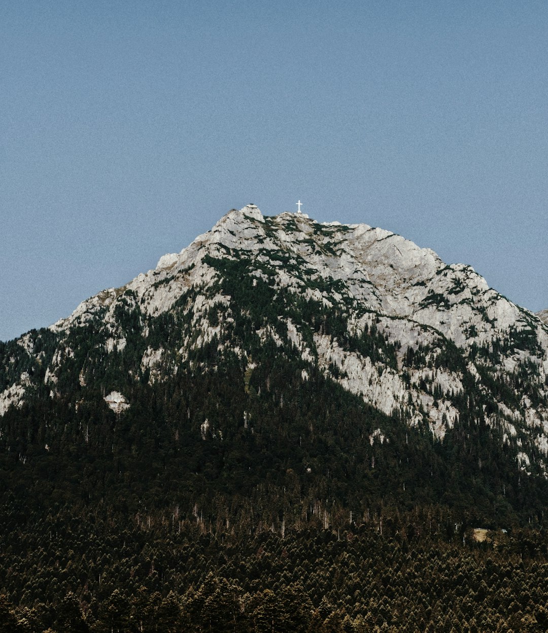 Hill photo spot BuÈ™teni Piatra Craiului Mountains