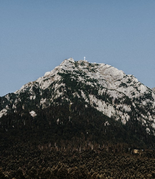 white and black mountain under blue sky during daytime in Caraiman Peak Romania