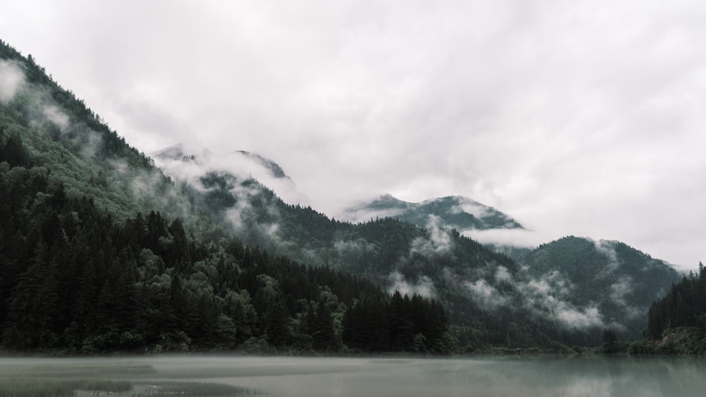 green trees near mountain under white clouds during daytime