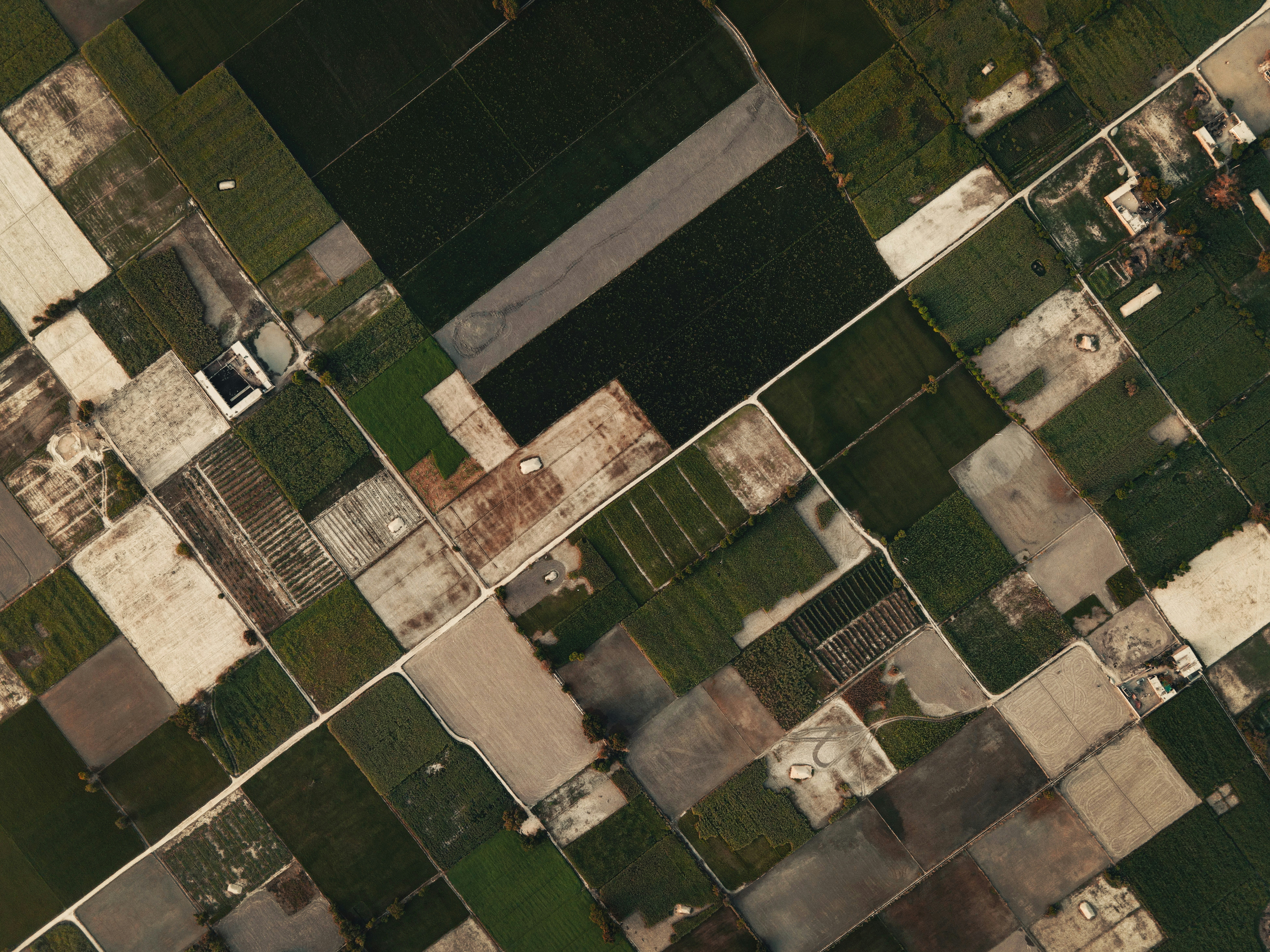 Green and white concrete building