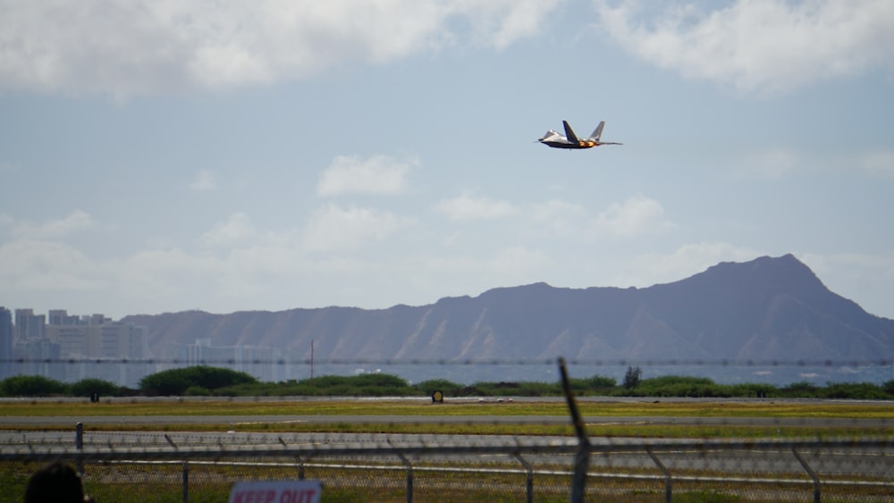 black and white airplane flying over green grass field during daytime