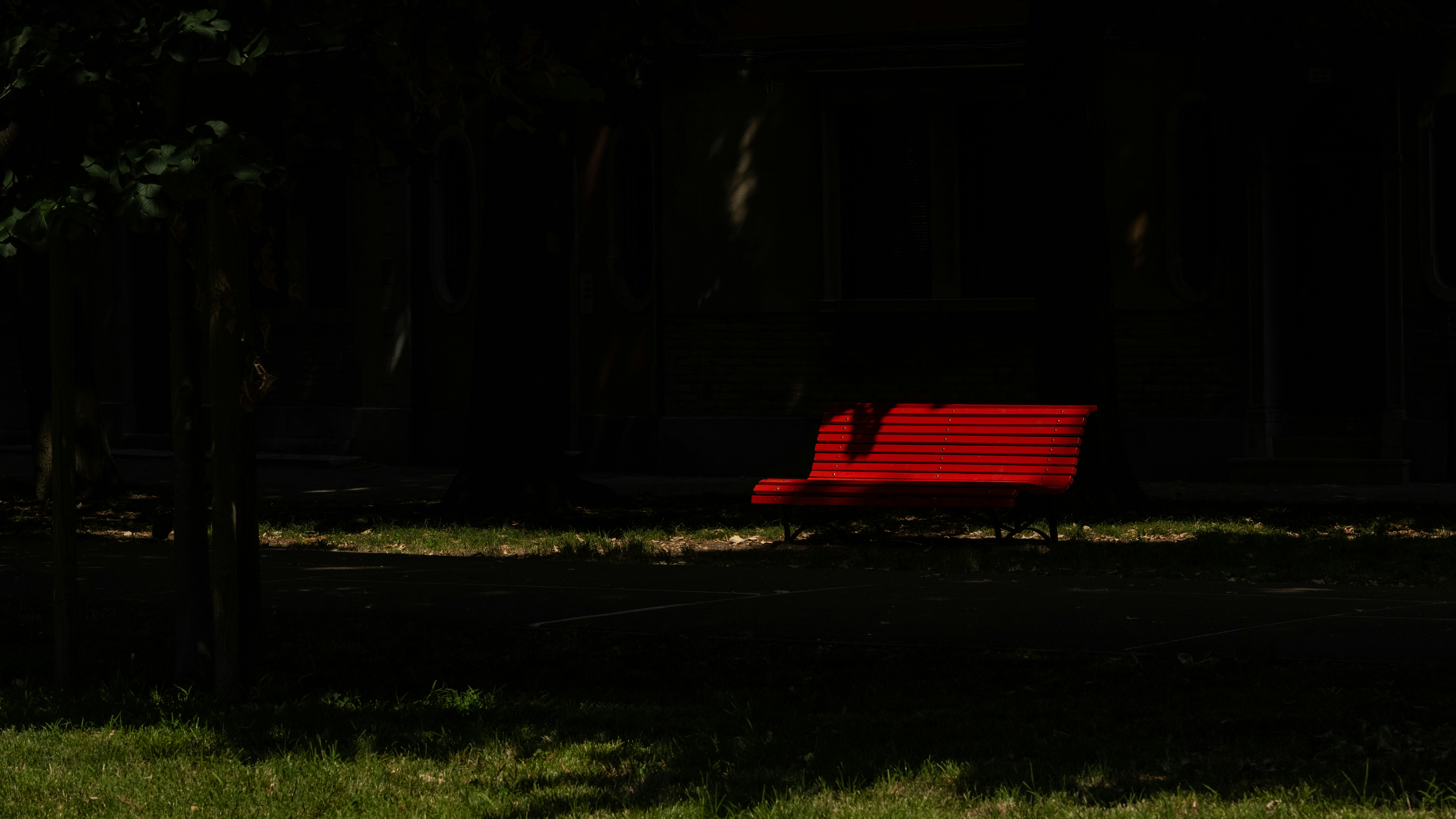 red bench on green grass field