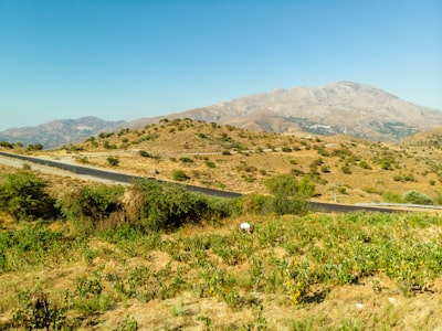 green grass field near mountain under blue sky during daytime