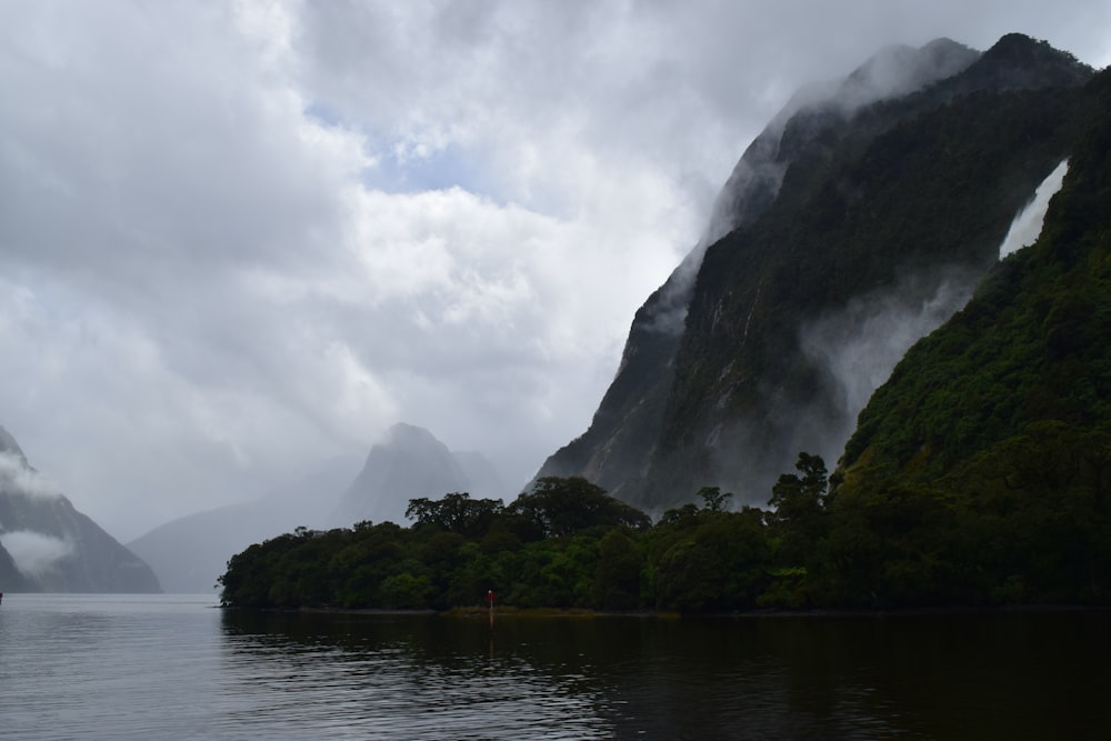 green trees near body of water under cloudy sky during daytime