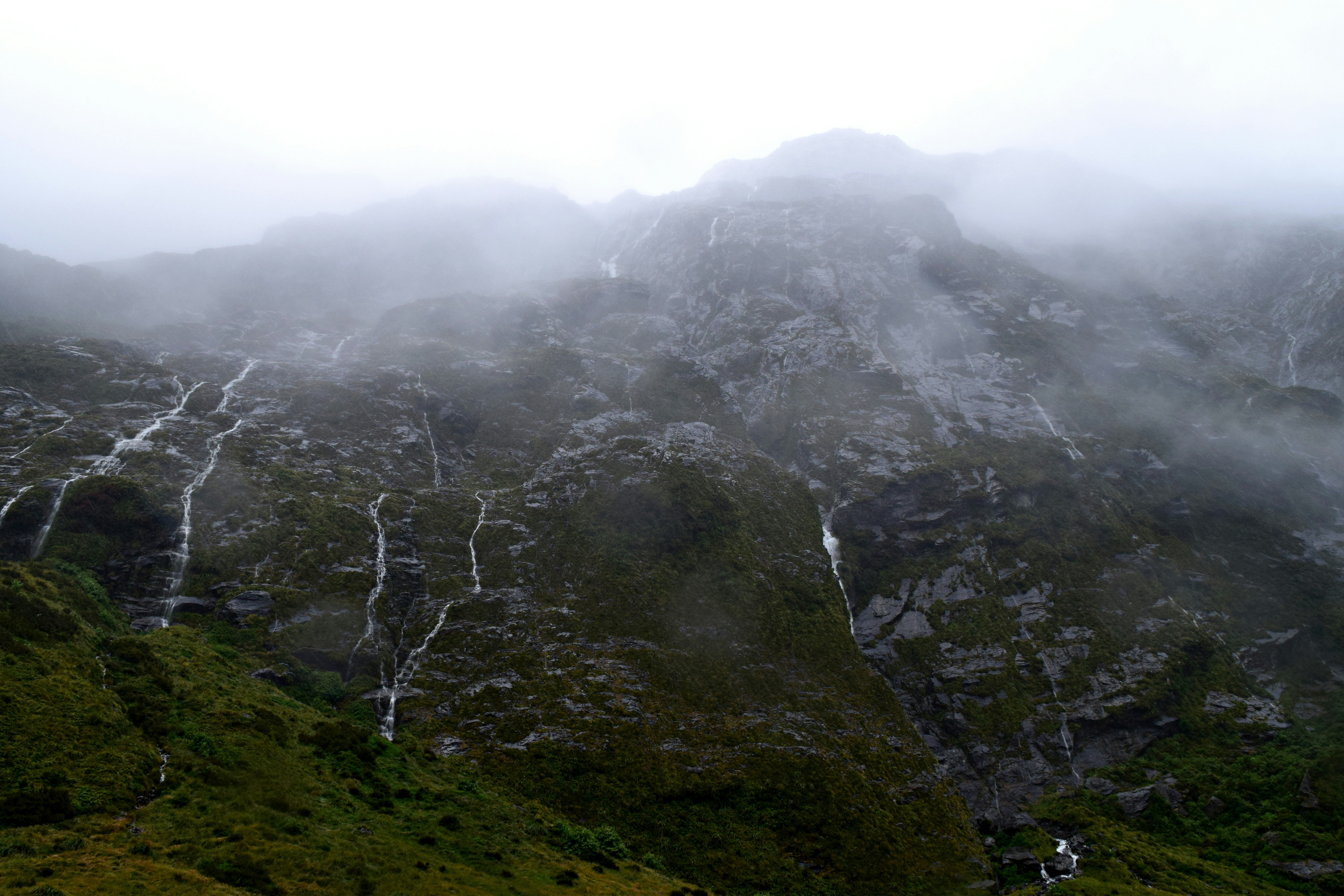 Photo by allisonh328