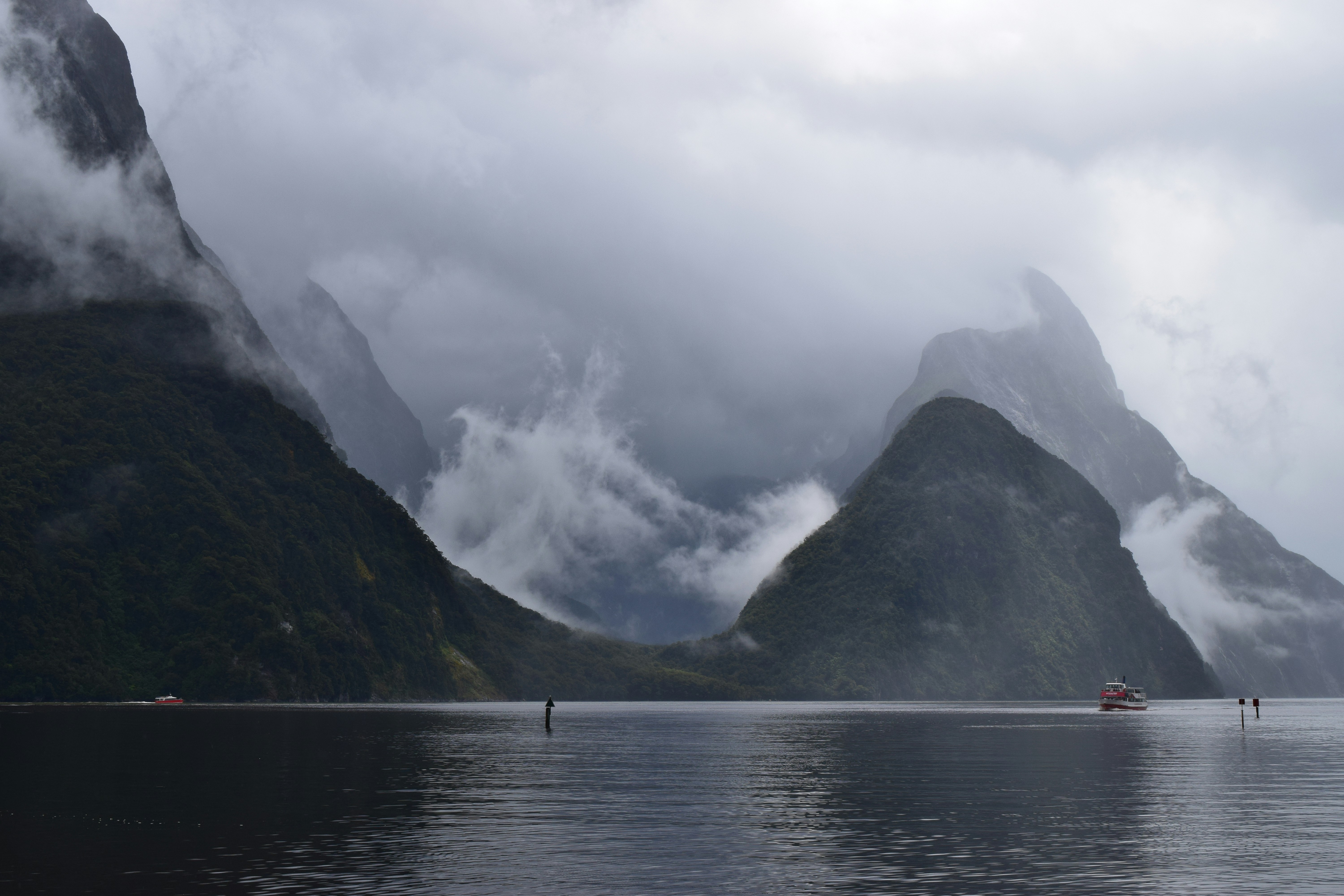 Photo by allisonh328