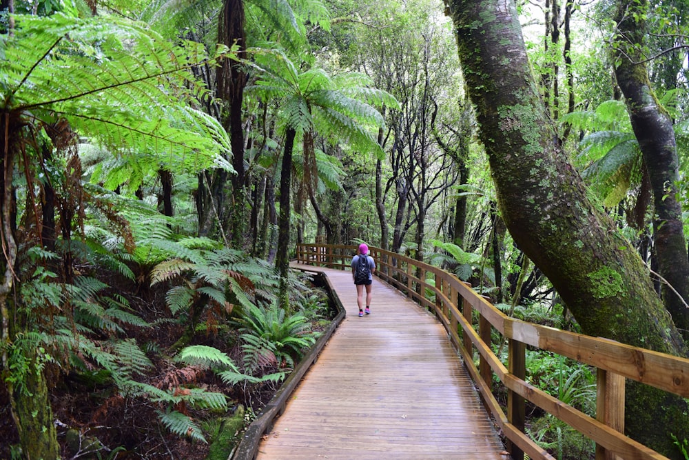 woman in blue jacket walking on wooden bridge