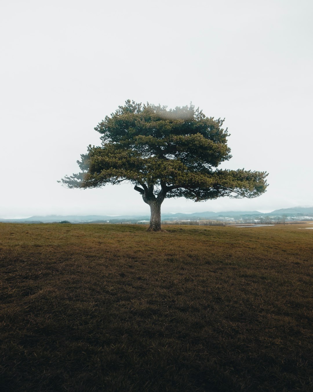 Plain photo spot Auvergne Chastreix