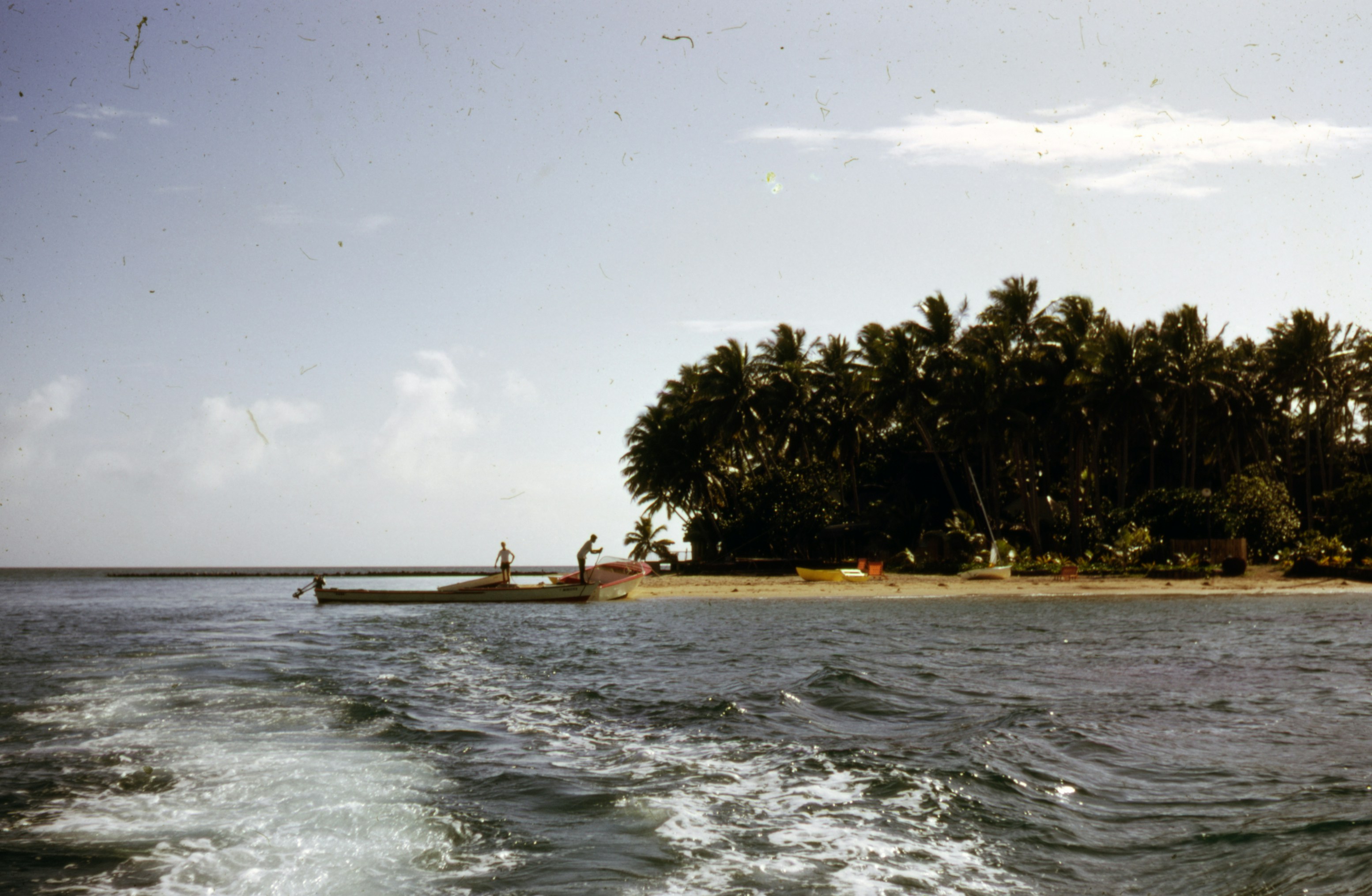 Photo by brett_jordan