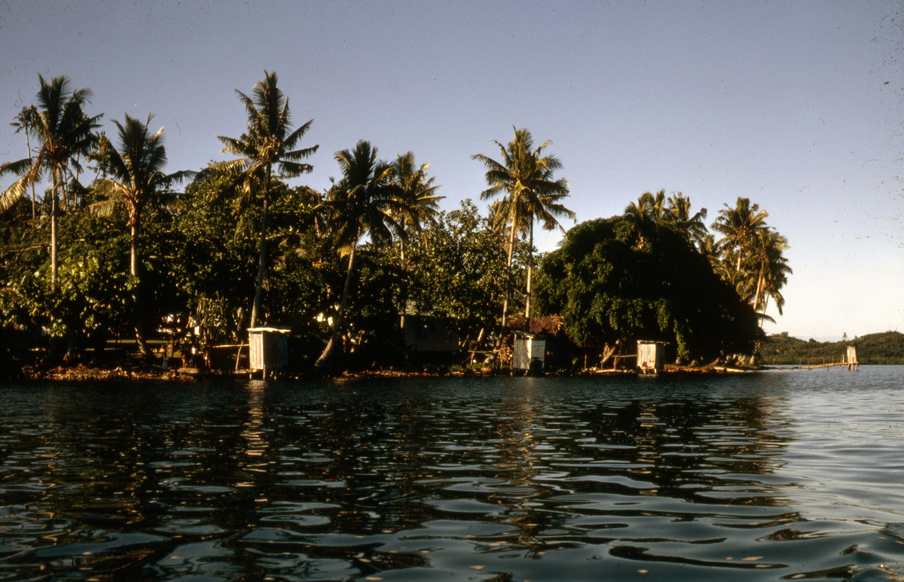 Photo by brett_jordan