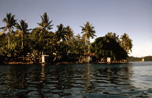 A serene meditation scene in Costa Rica.
