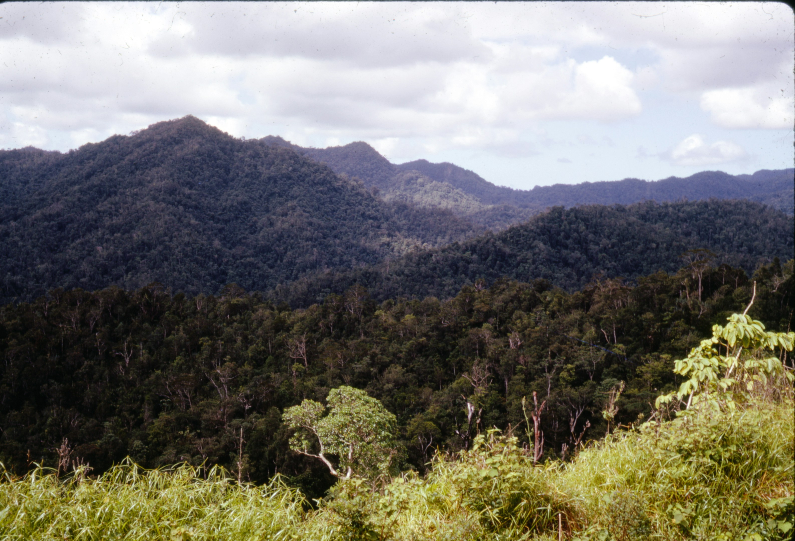 Photo by brett_jordan