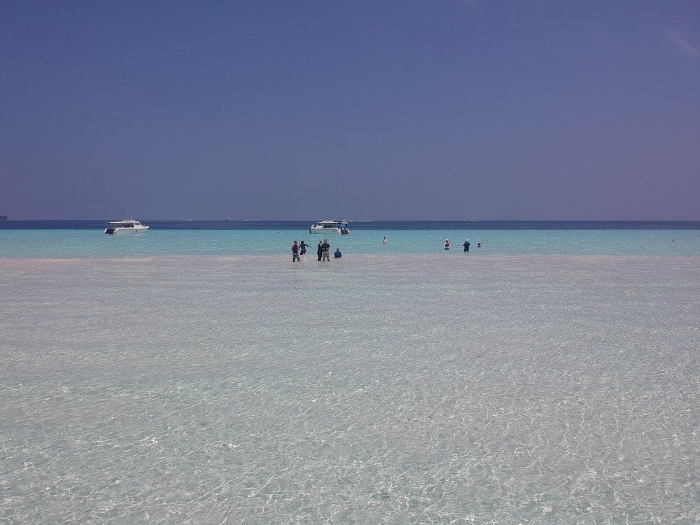 people on beach during daytime