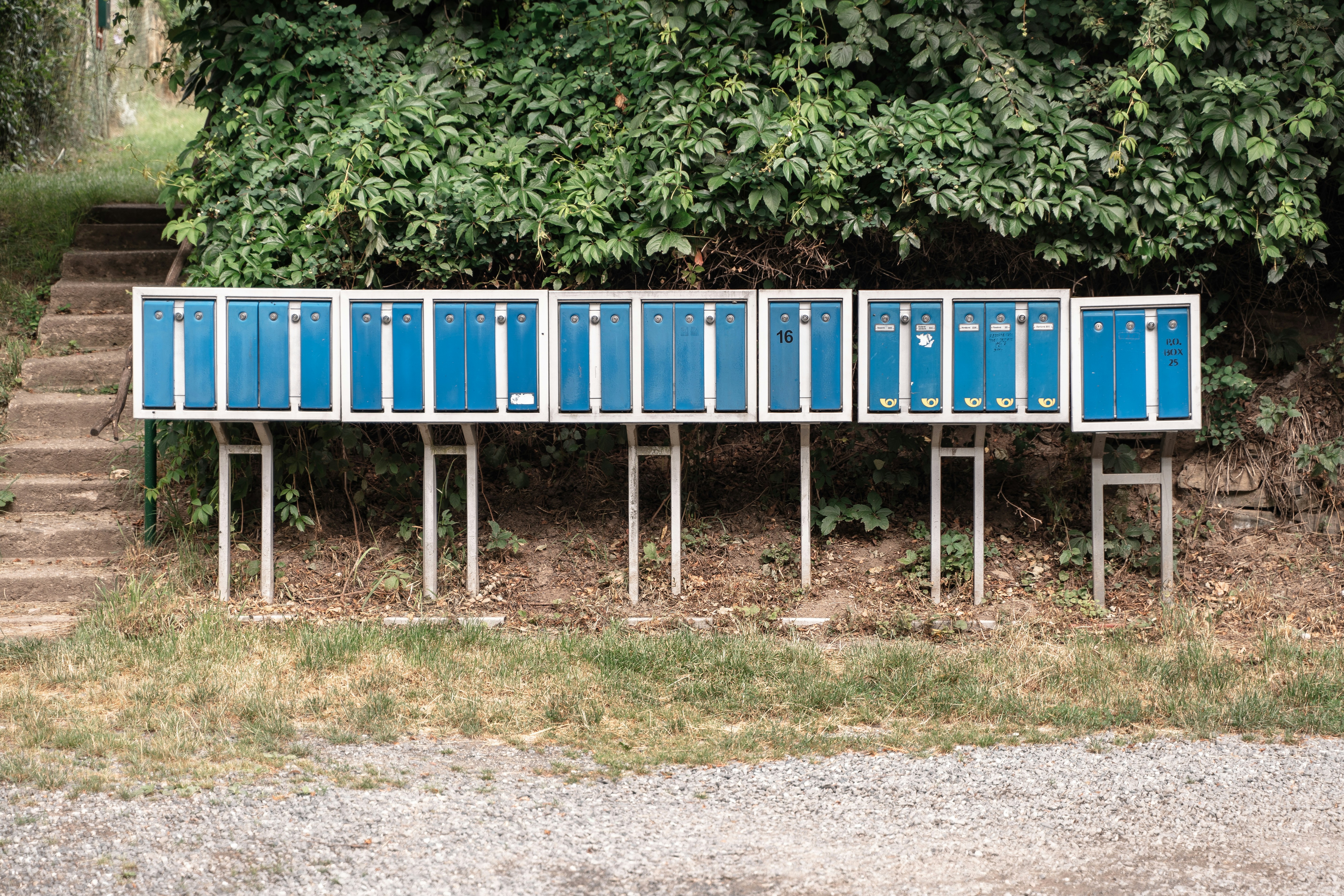 Verified Email Contact Database