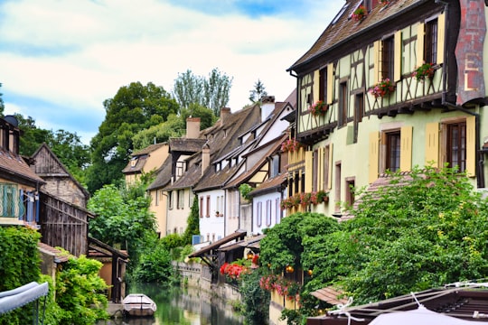 green trees beside brown concrete building during daytime in La Petite Venise France