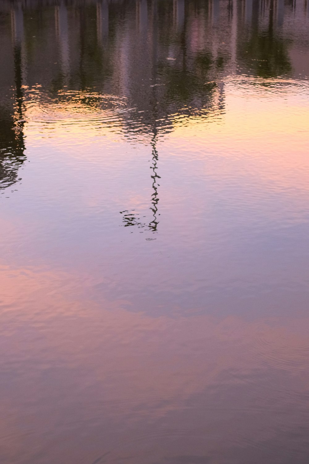 reflection of sun on water