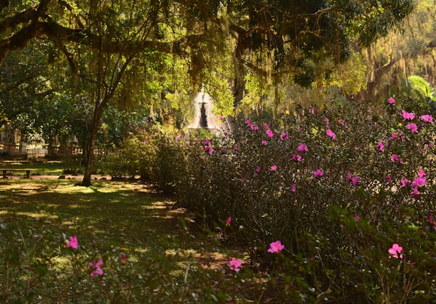 A vibrant garden pathway lined with blooming flowers under a soft morning light.