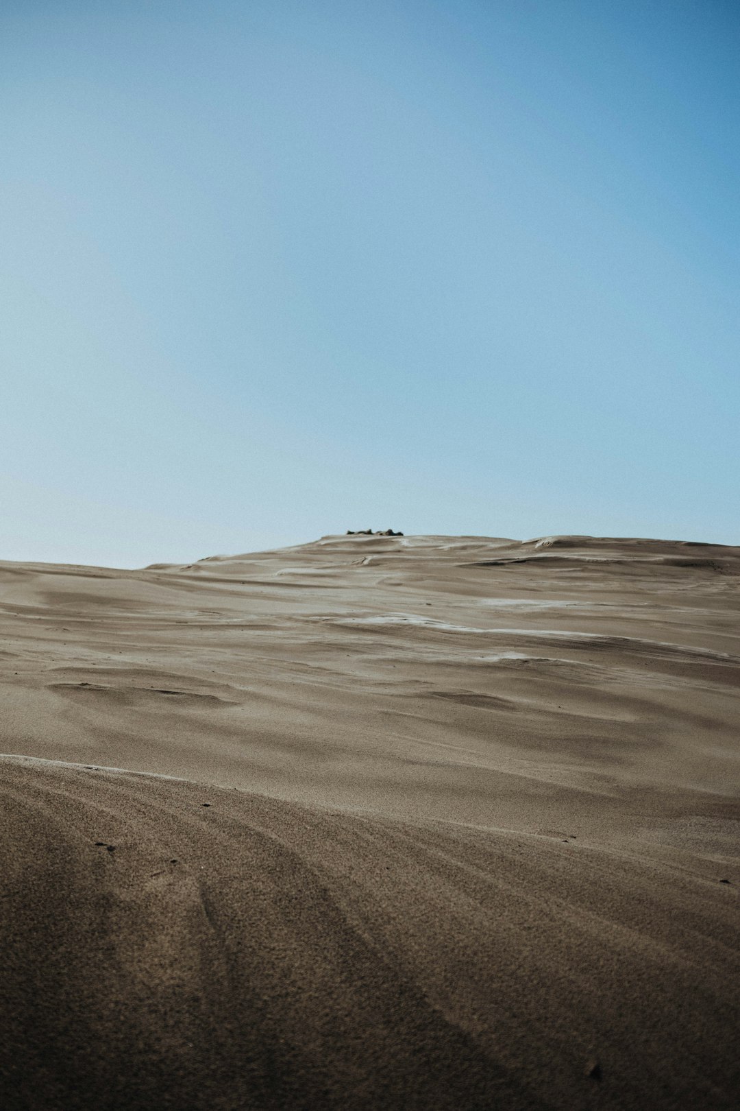 person walking on brown sand during daytime