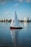 red and white boat on sea during daytime