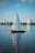 red and white boat on sea during daytime