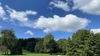 A lush agroforestry landscape showcasing diverse trees and crops under a clear sky.